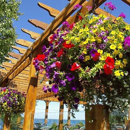 Grandview Motel Тобермори Экстерьер фото